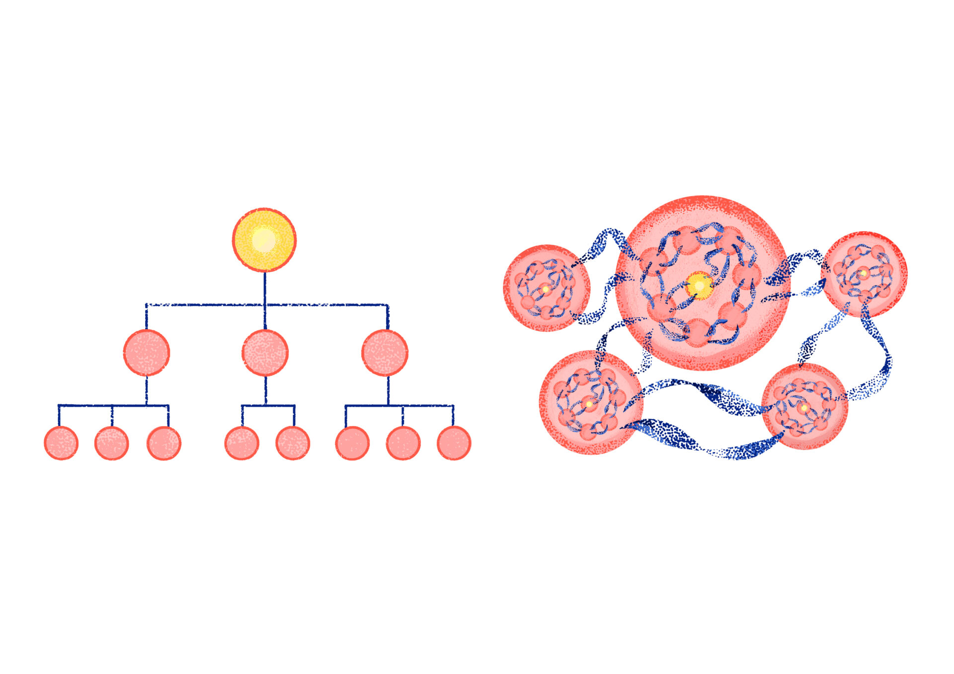 Regenerative Leadership: Building Organizations that Restore Human and Natural Systems